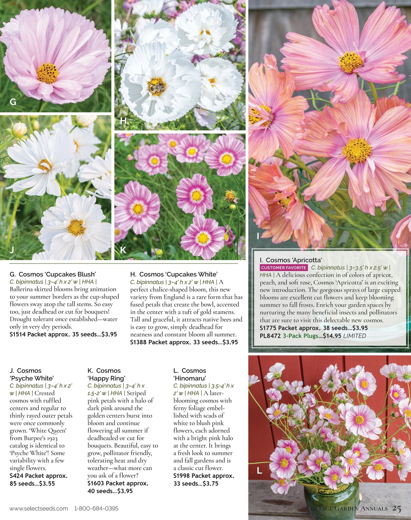 Select Seeds flyer page 25
