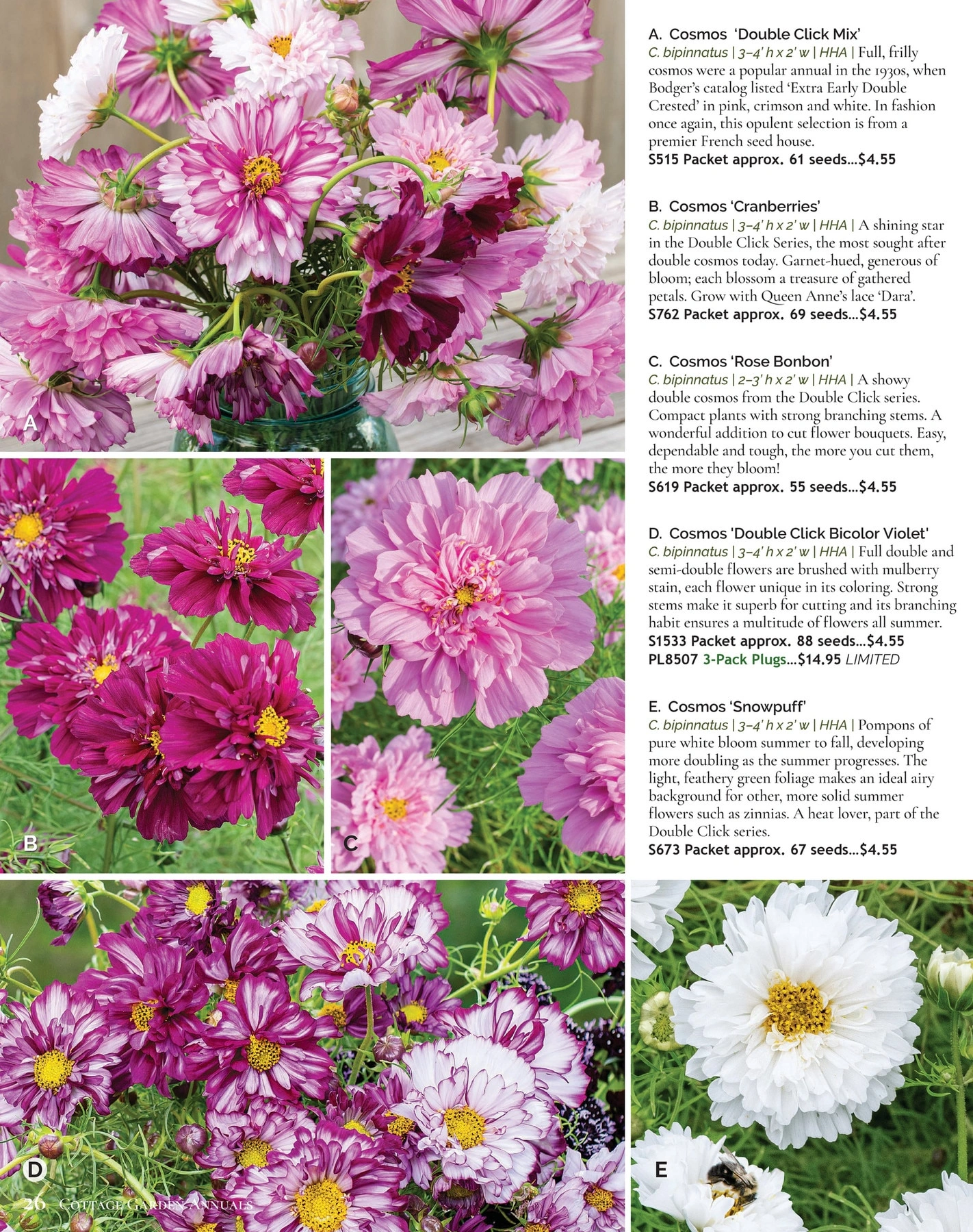 Select Seeds flyer page 26