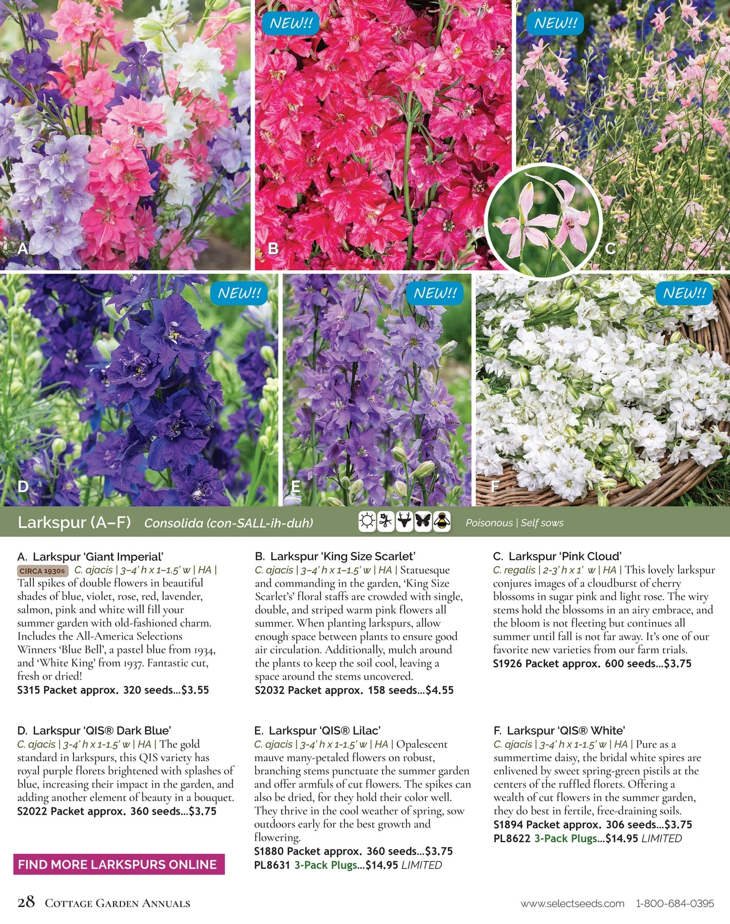 Select Seeds flyer page 28