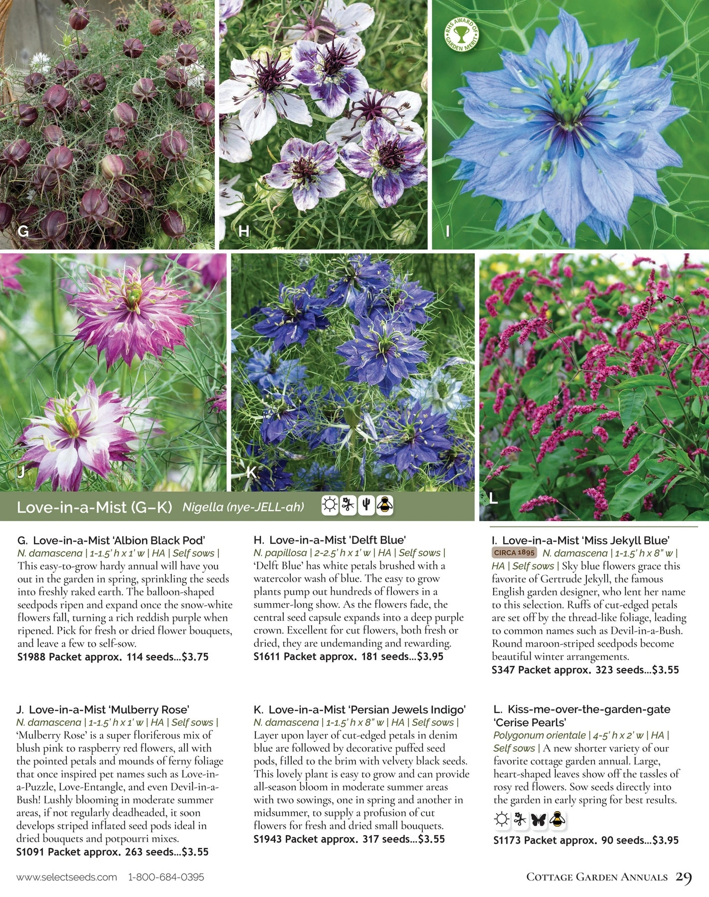 Select Seeds flyer page 29