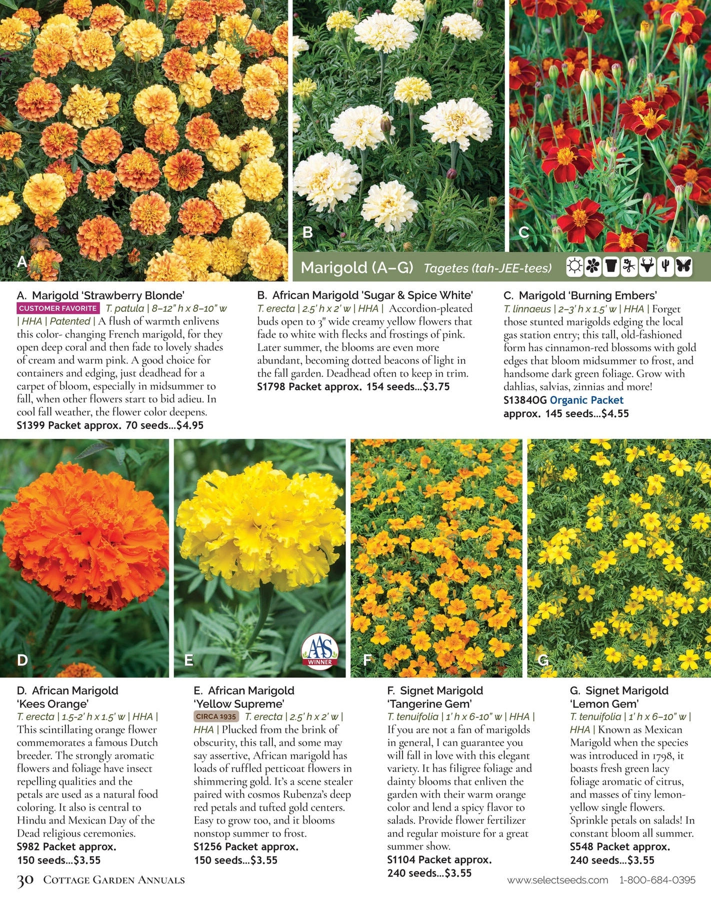 Select Seeds flyer page 30