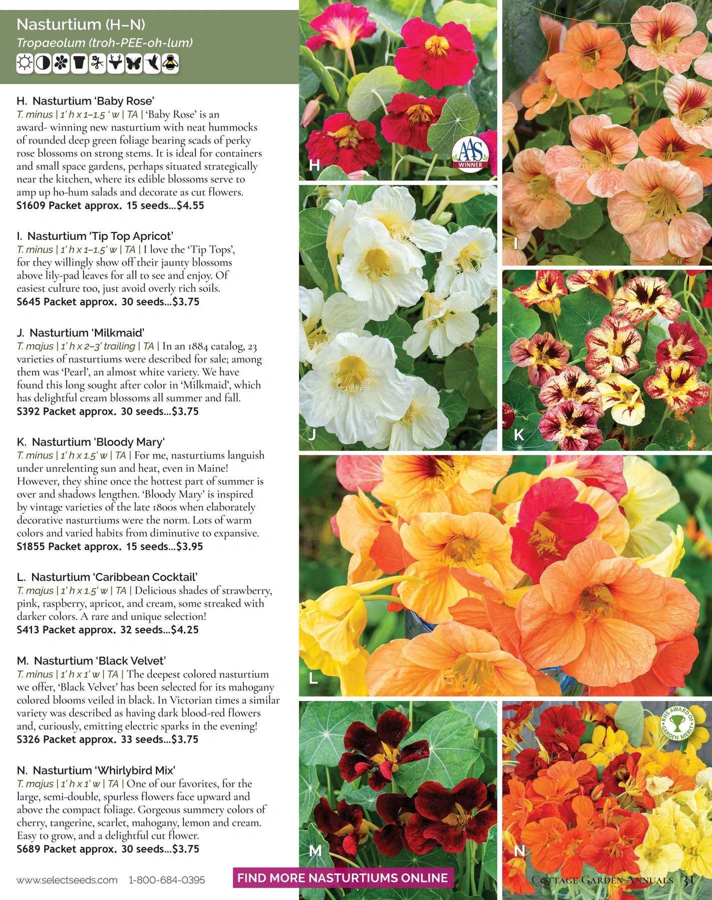 Select Seeds flyer page 31