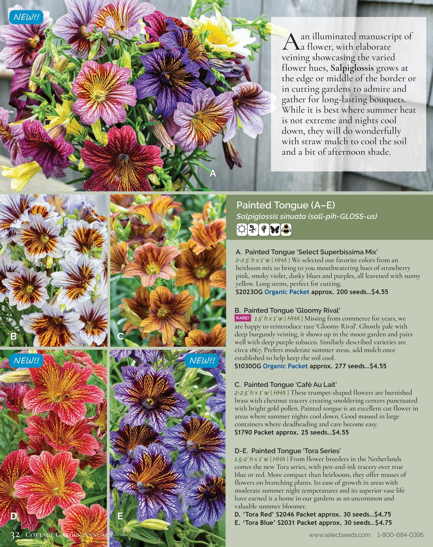 Select Seeds flyer page 32
