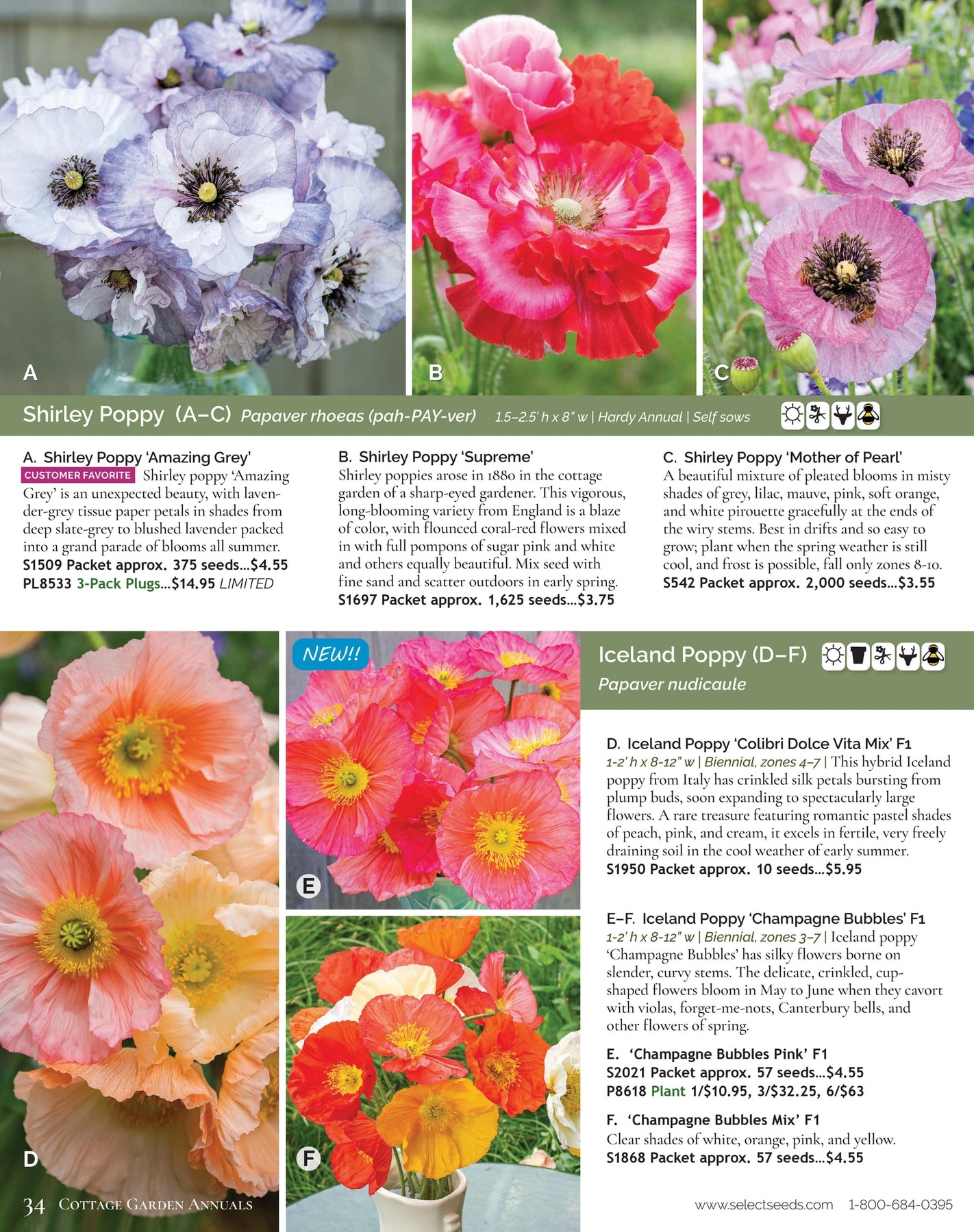 Select Seeds flyer page 34