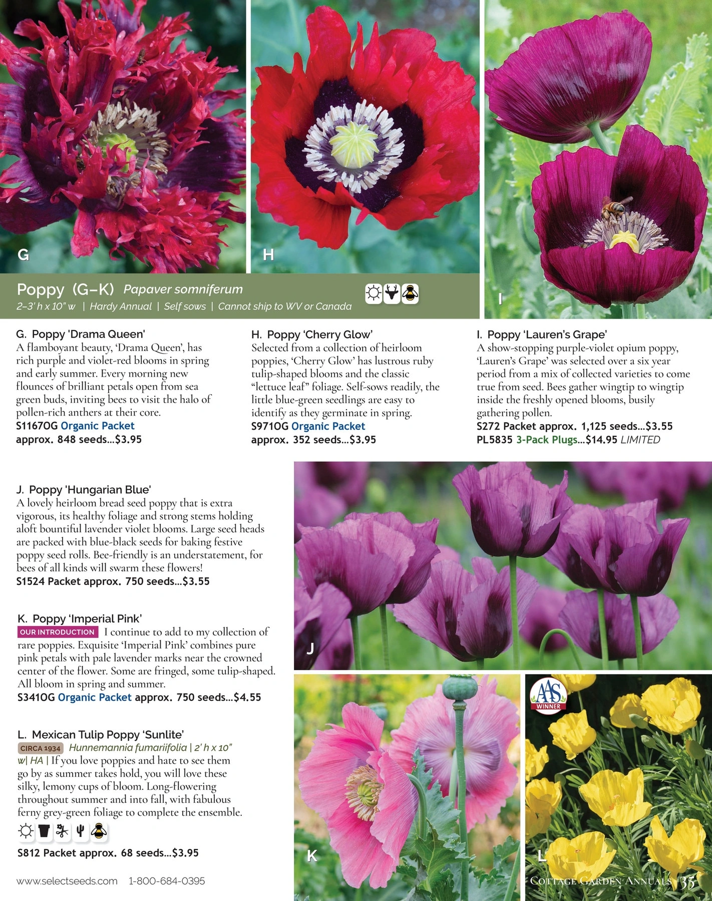 Select Seeds flyer page 35