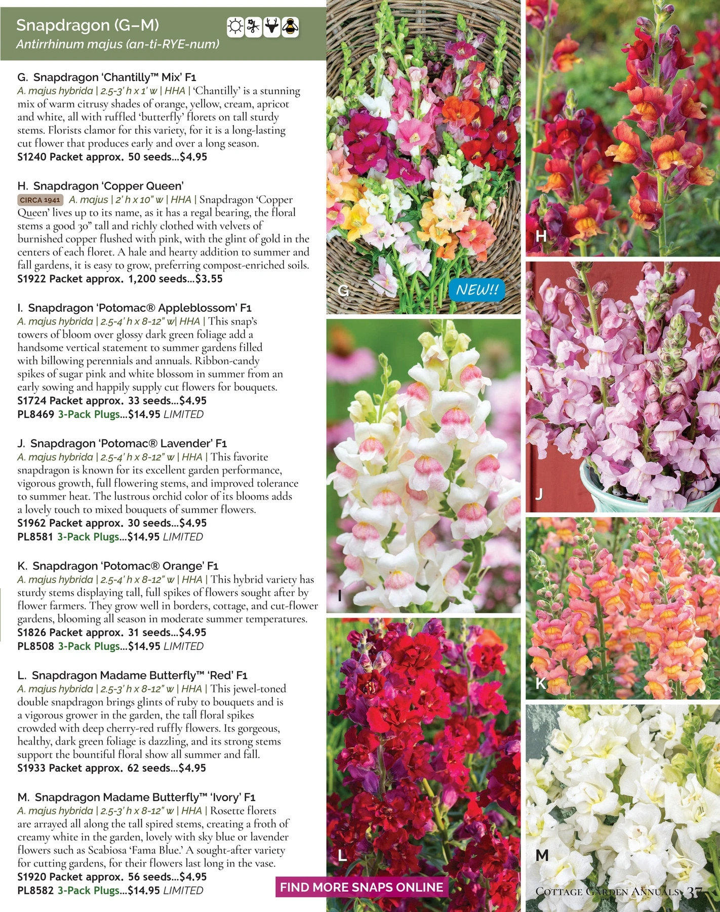 Select Seeds flyer page 37