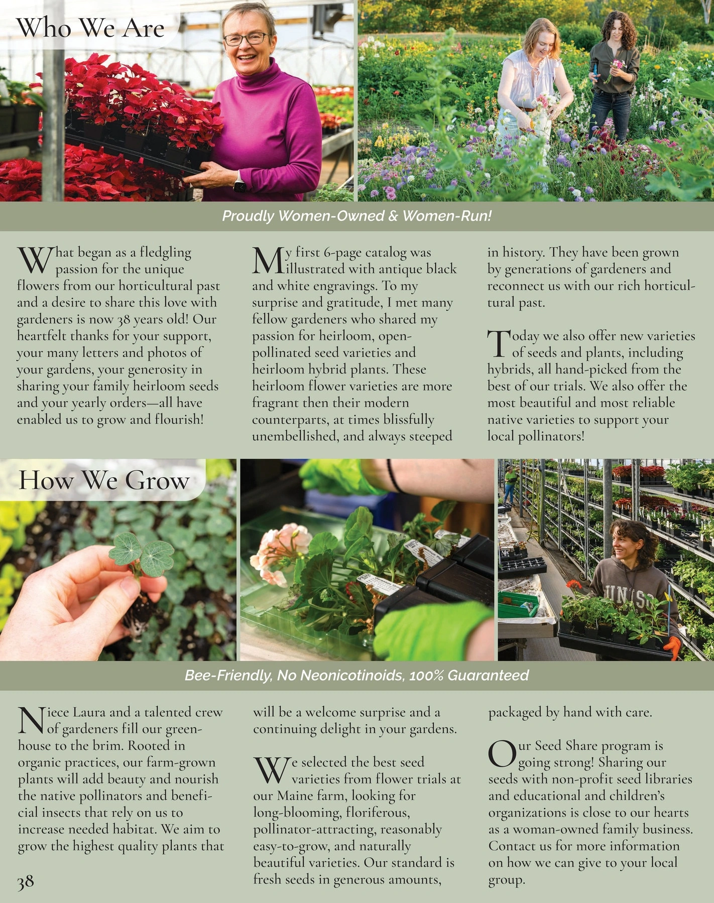 Select Seeds flyer page 38