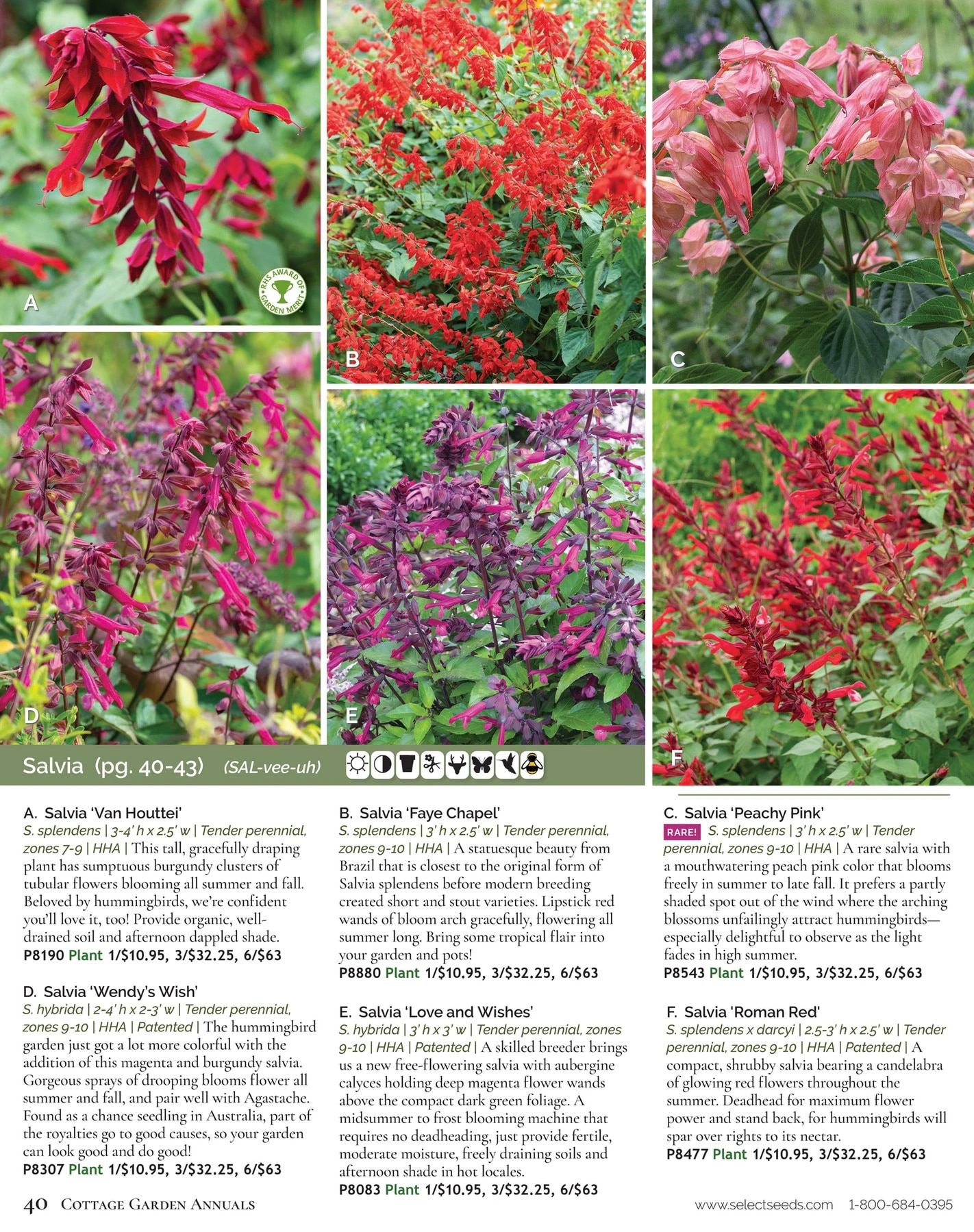 Select Seeds flyer page 40