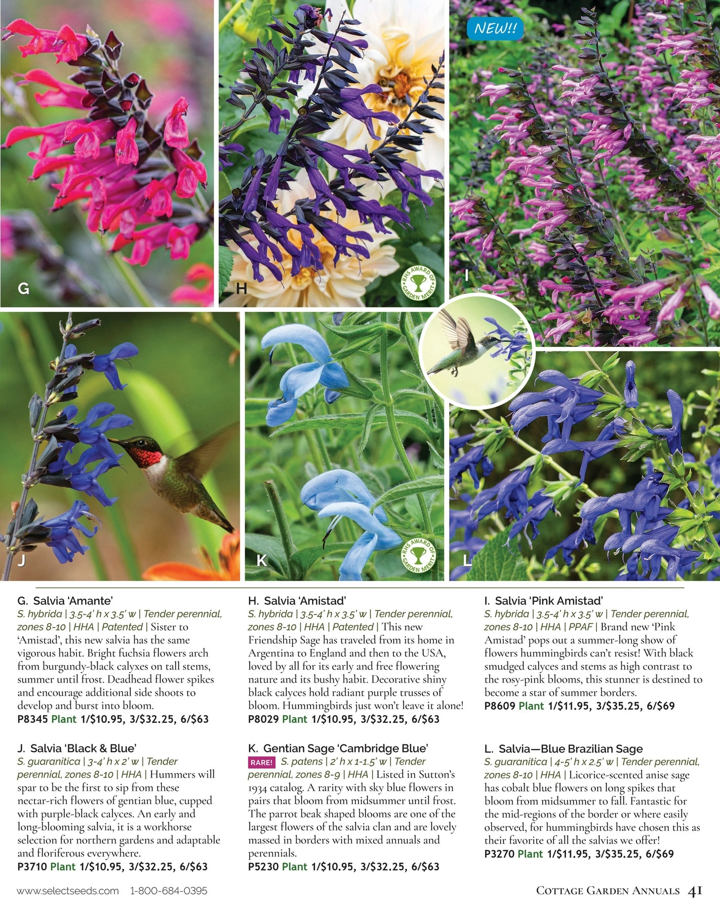 Select Seeds flyer page 41