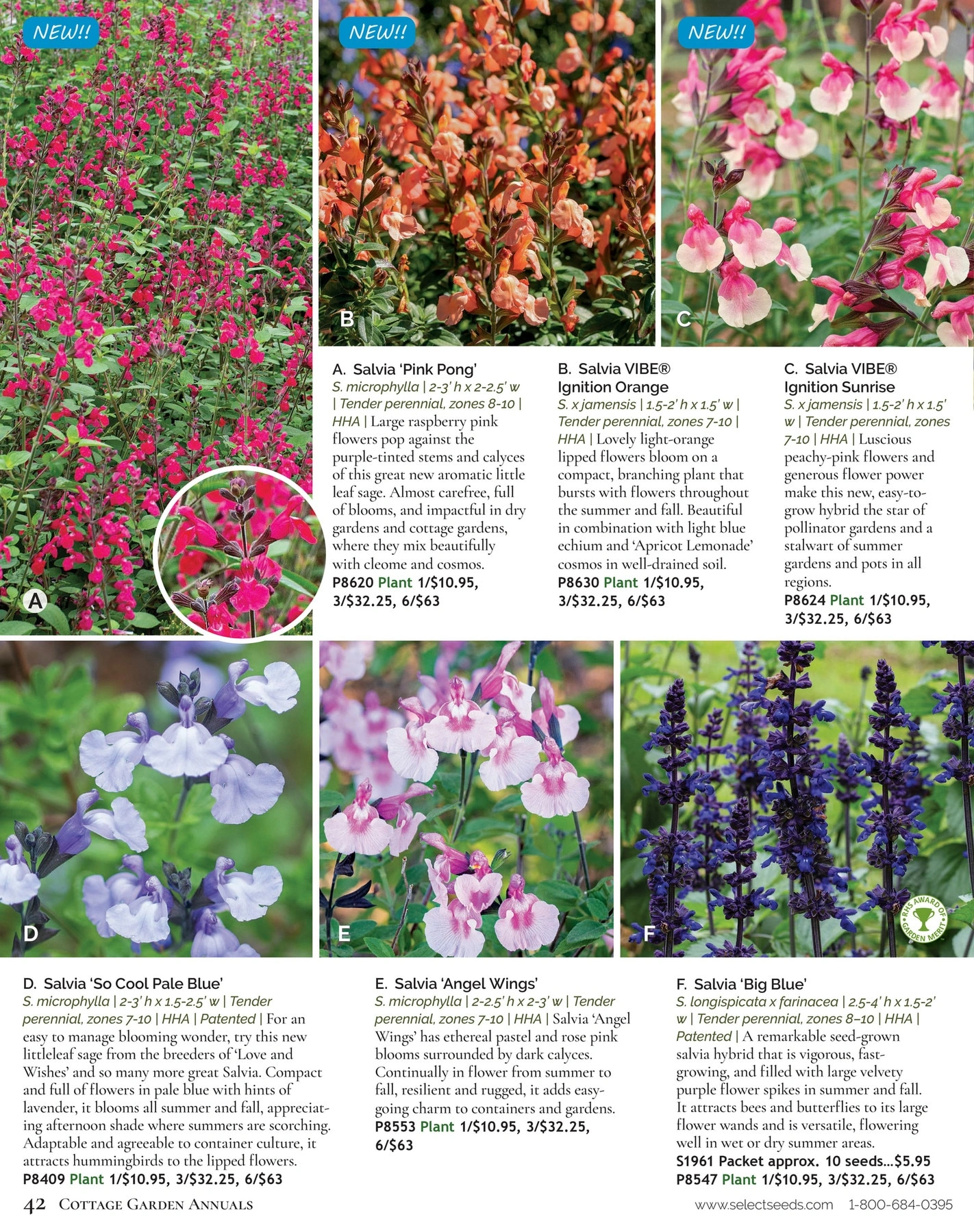 Select Seeds flyer page 42