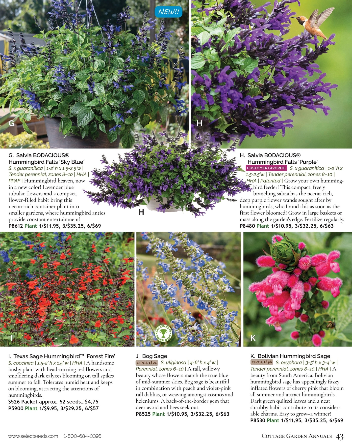 Select Seeds flyer page 43