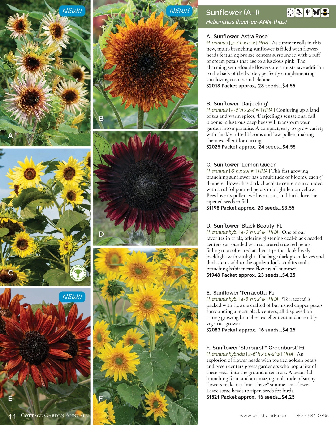 Select Seeds flyer page 44