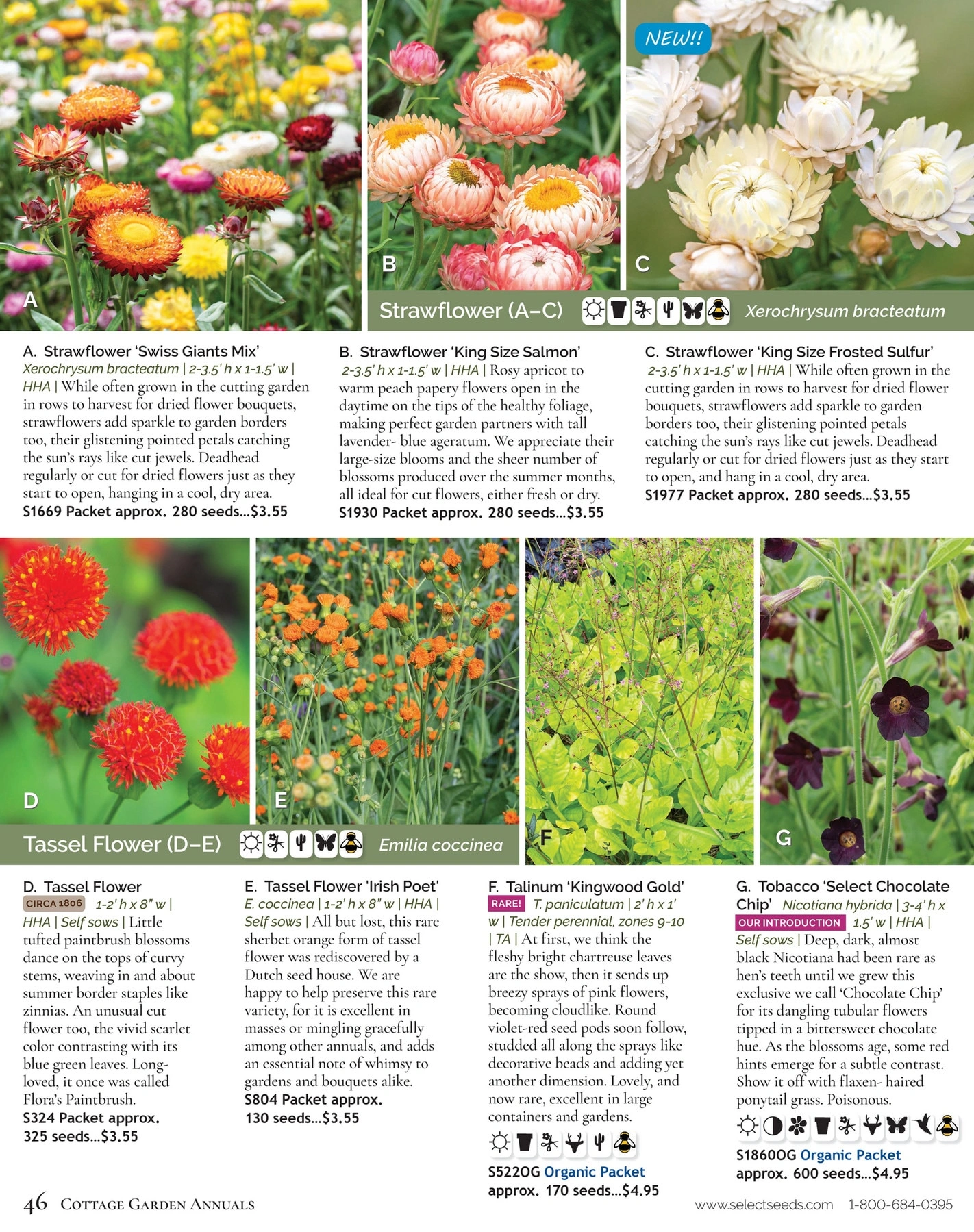 Select Seeds flyer page 46
