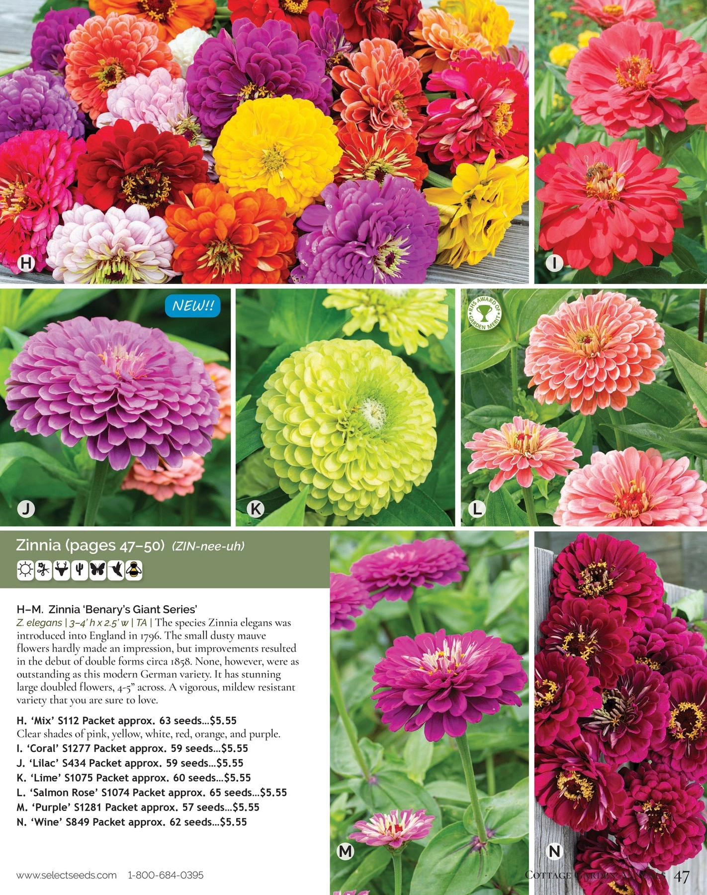 Select Seeds flyer page 47