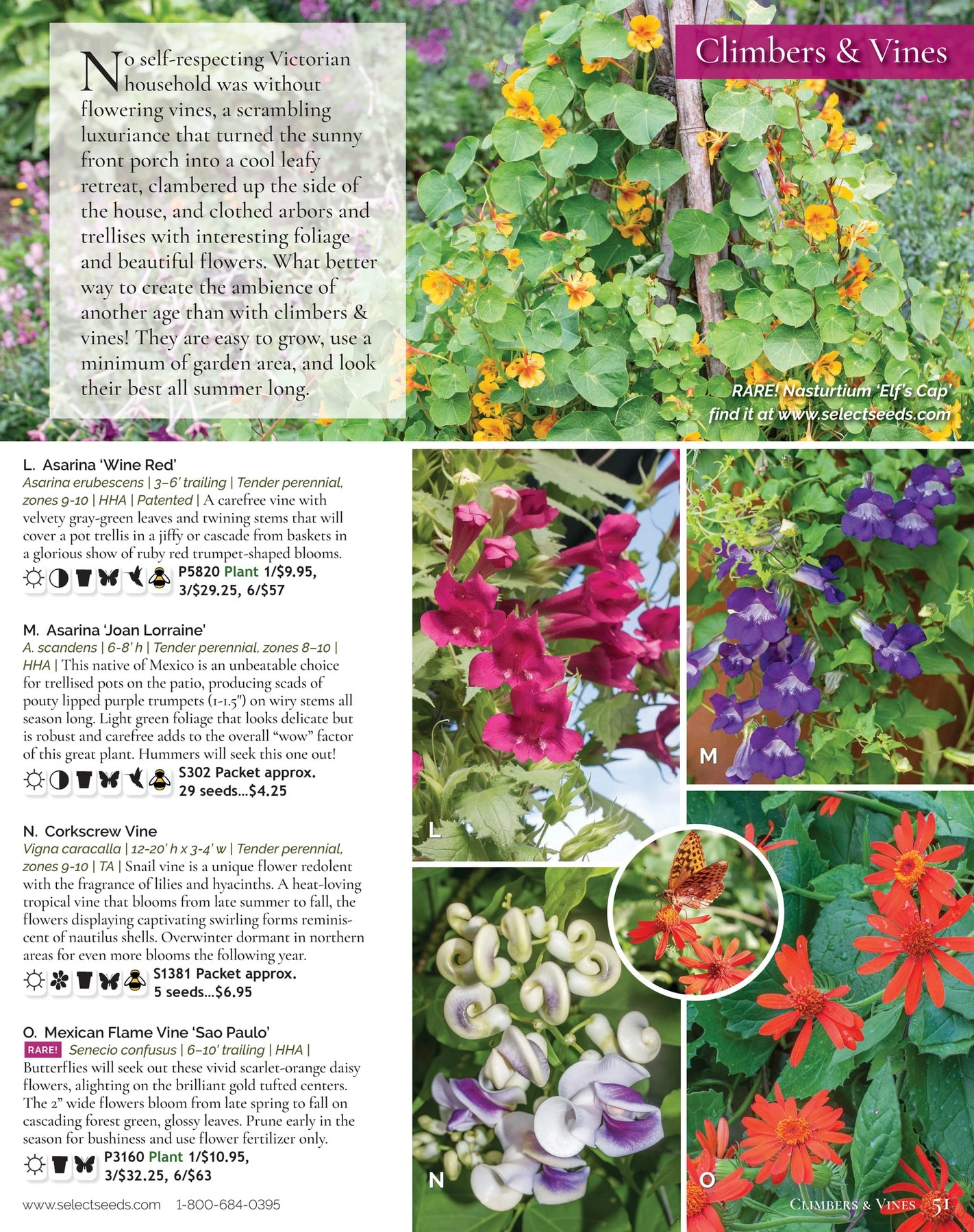 Select Seeds flyer page 51