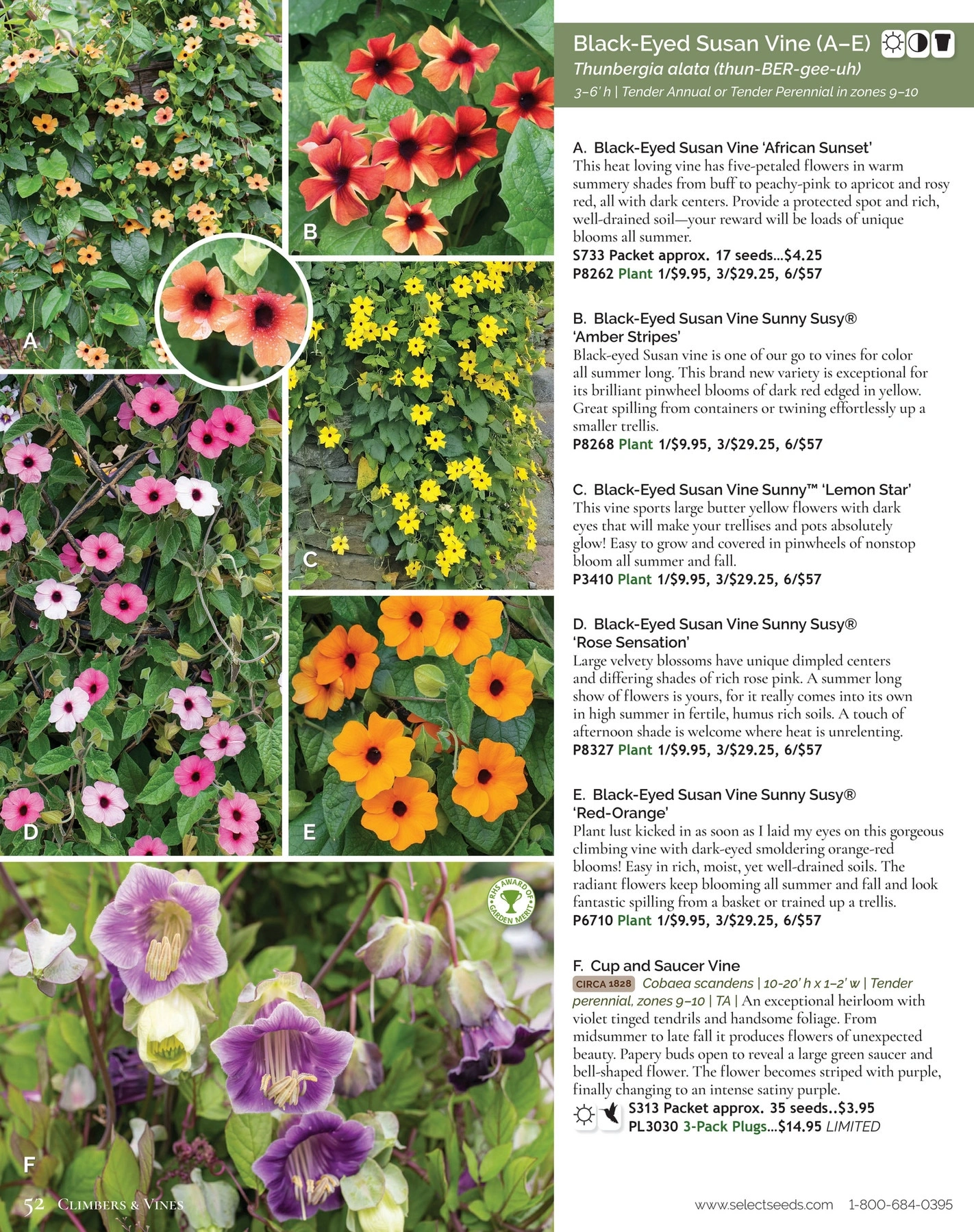 Select Seeds flyer page 52