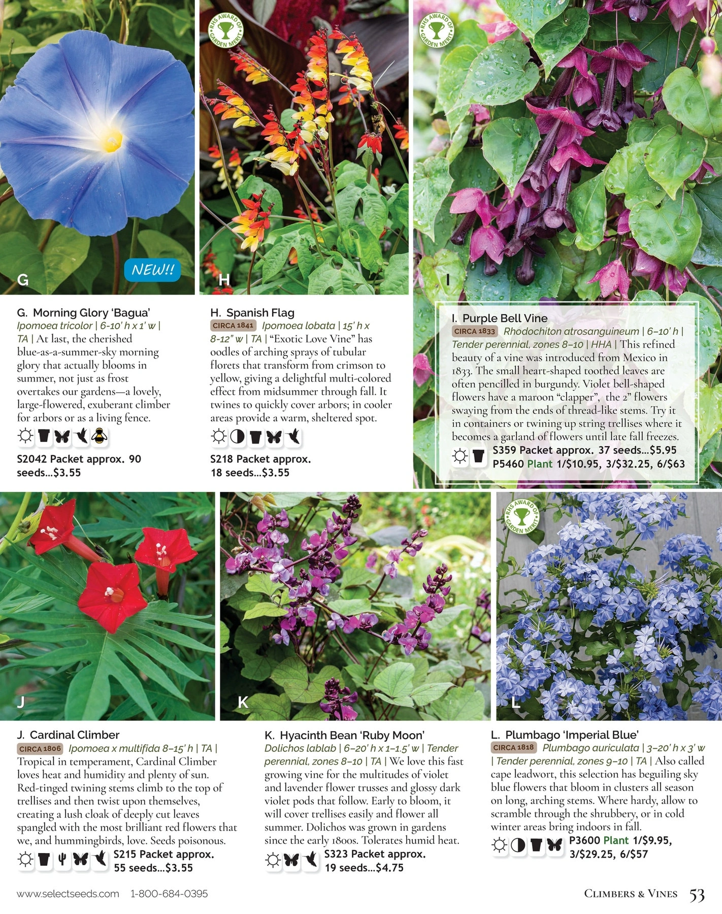Select Seeds flyer page 53