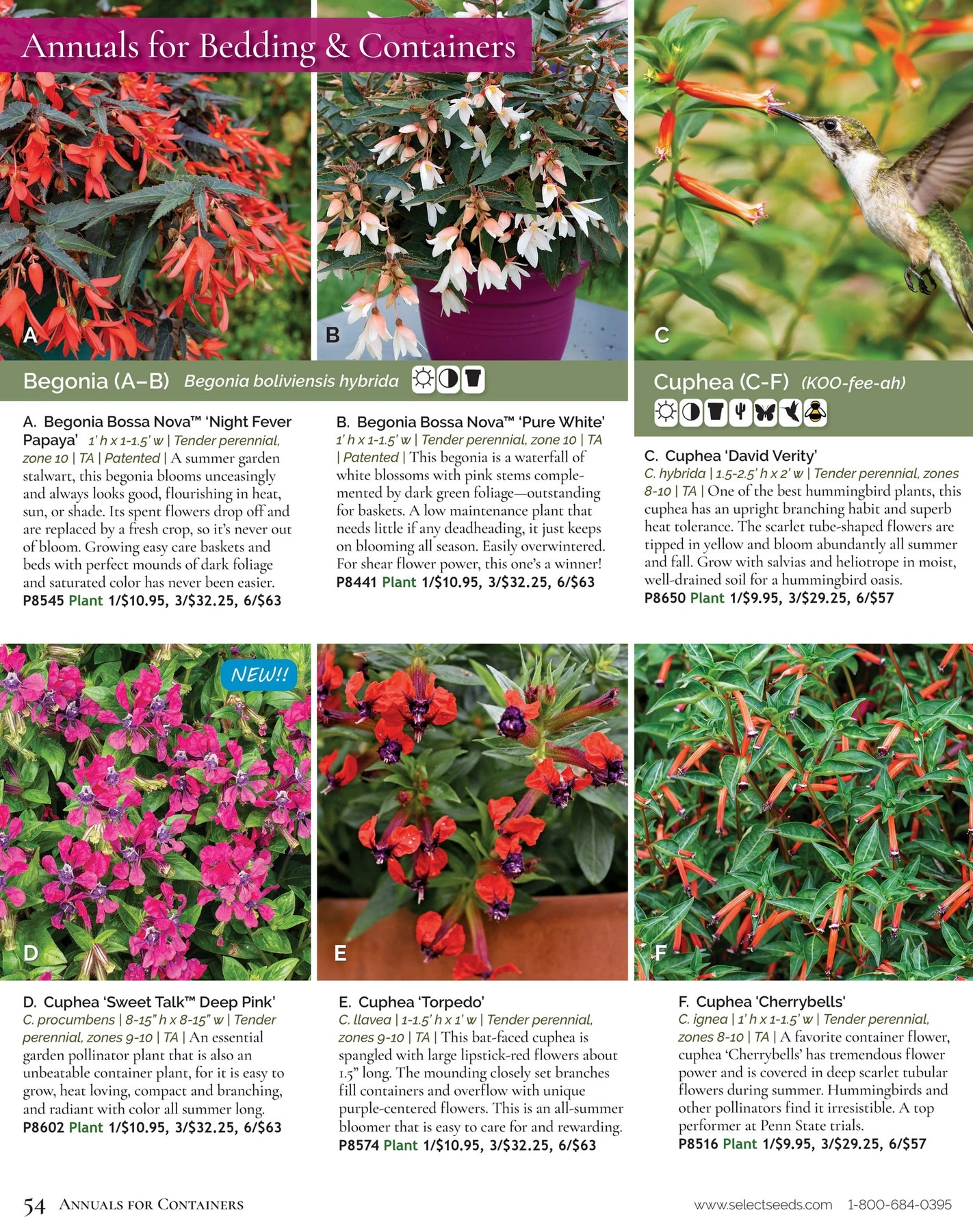 Select Seeds flyer page 54