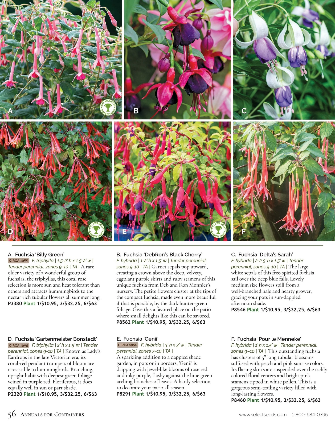 Select Seeds flyer page 56