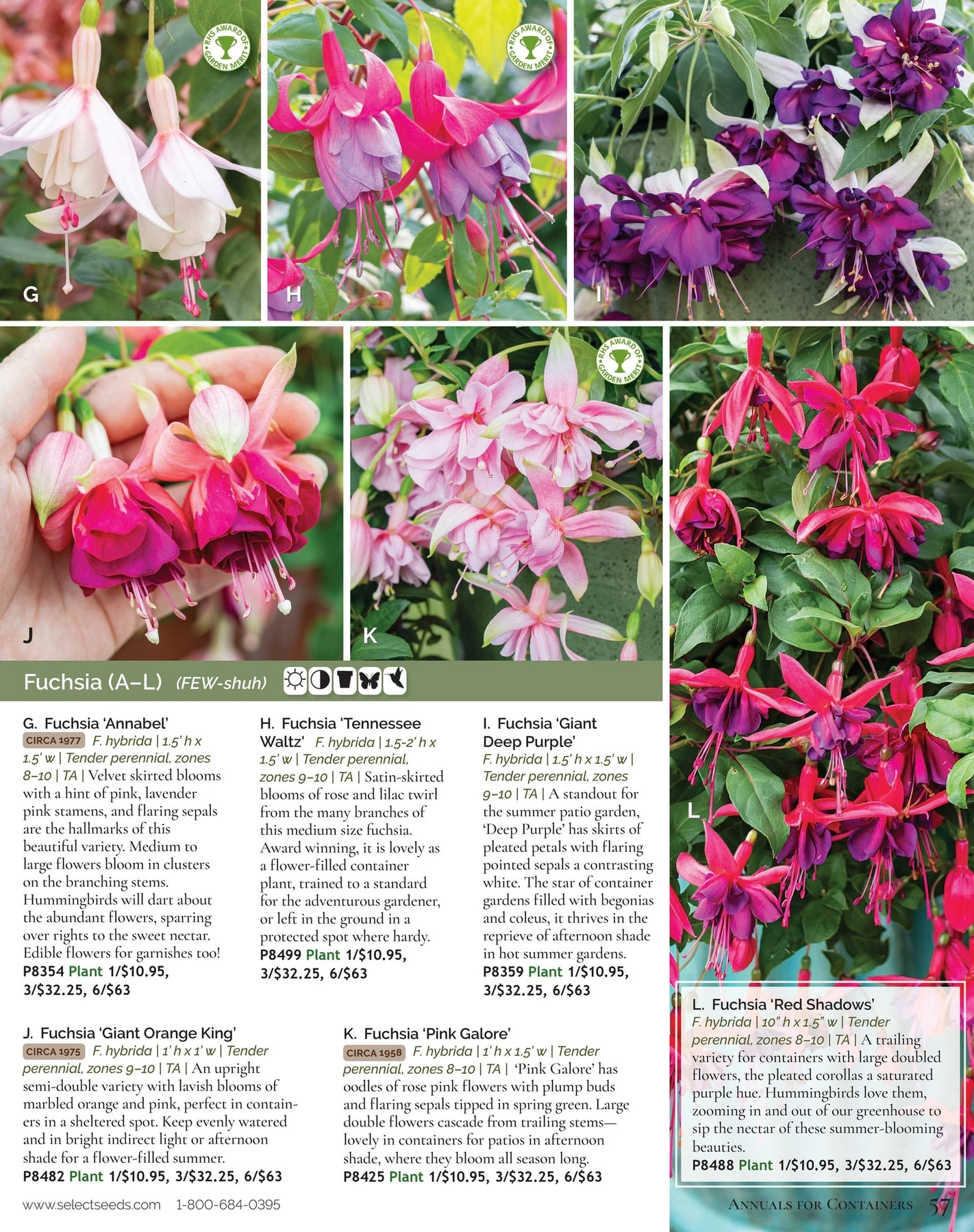 Select Seeds flyer page 57