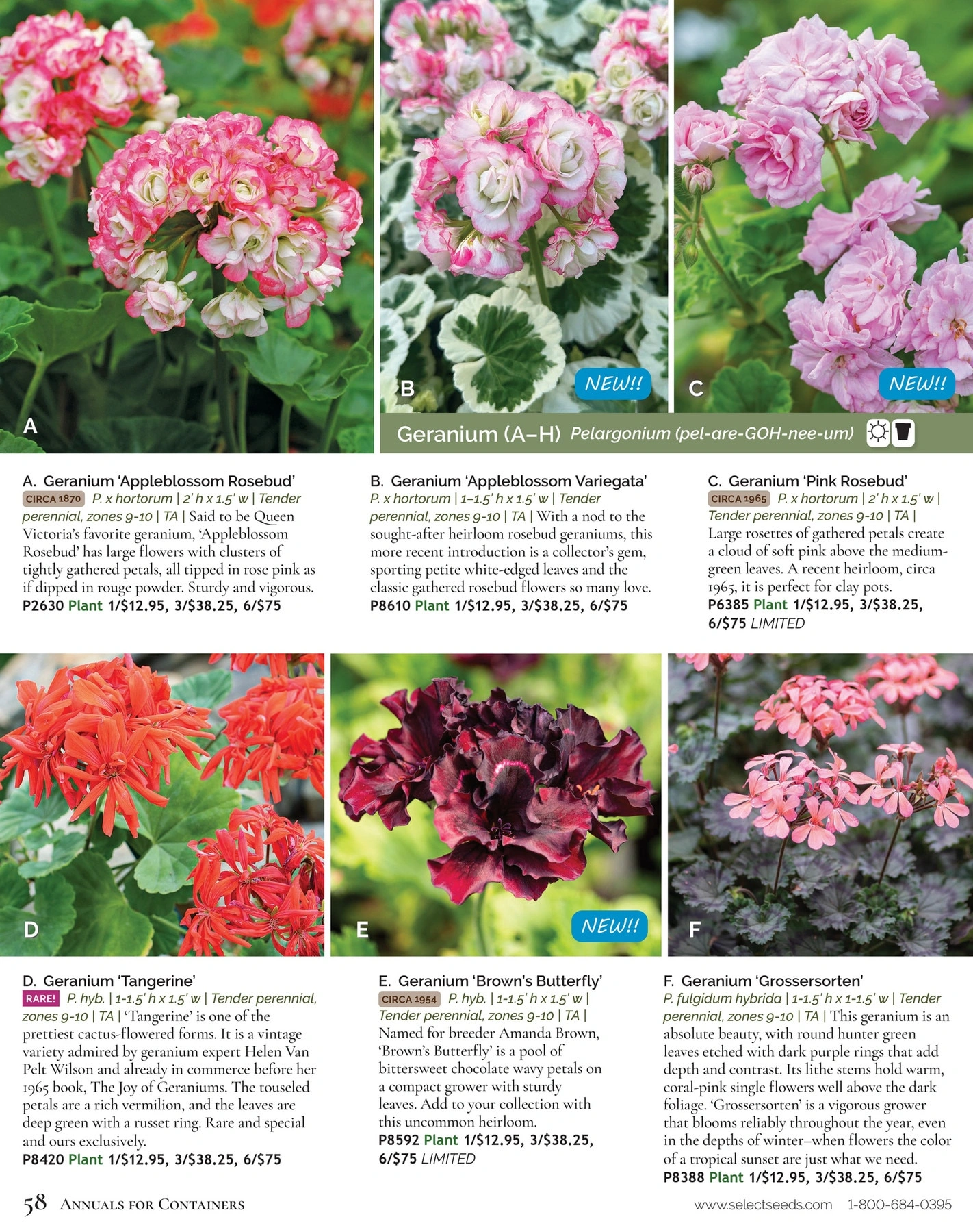 Select Seeds flyer page 58