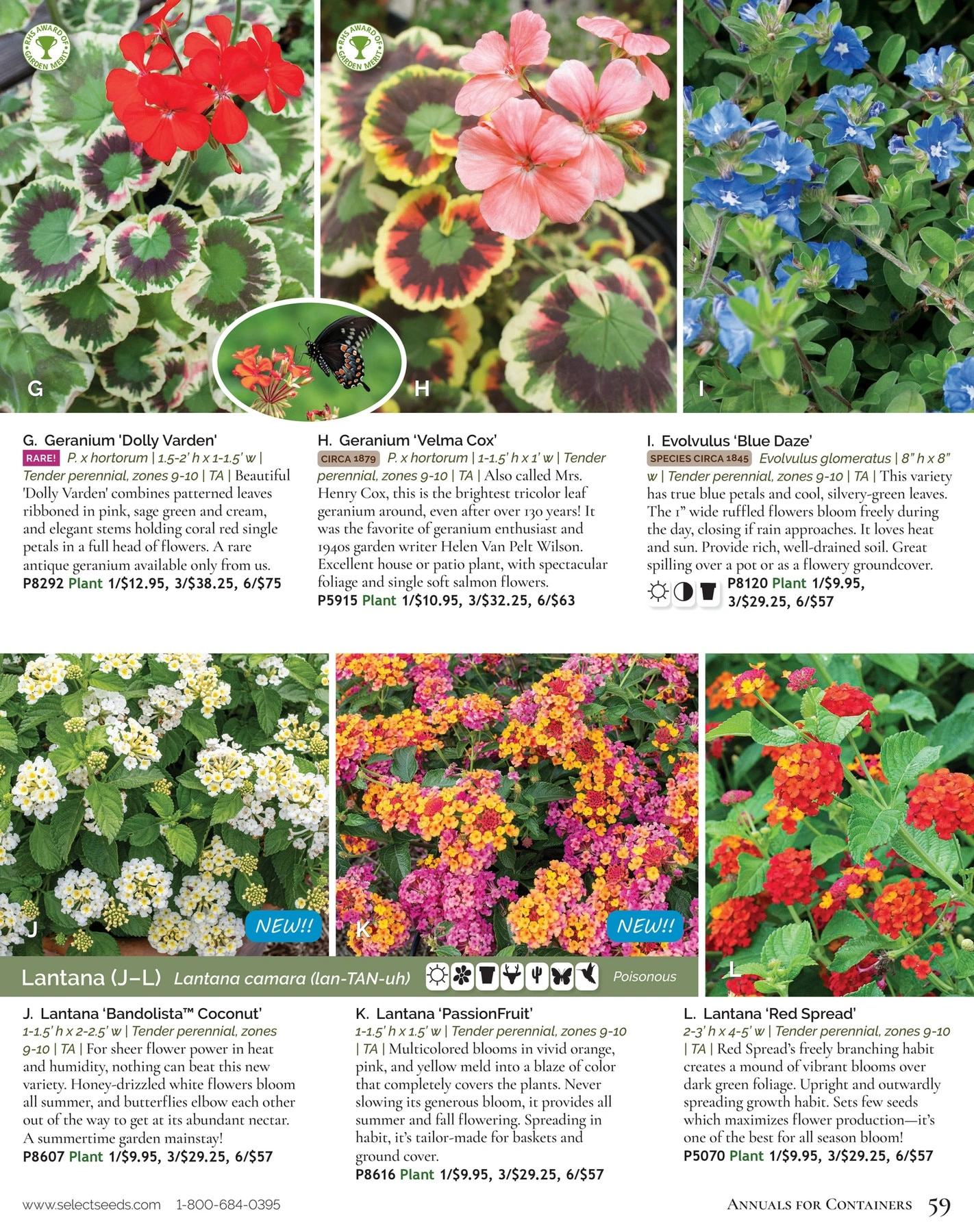 Select Seeds flyer page 59