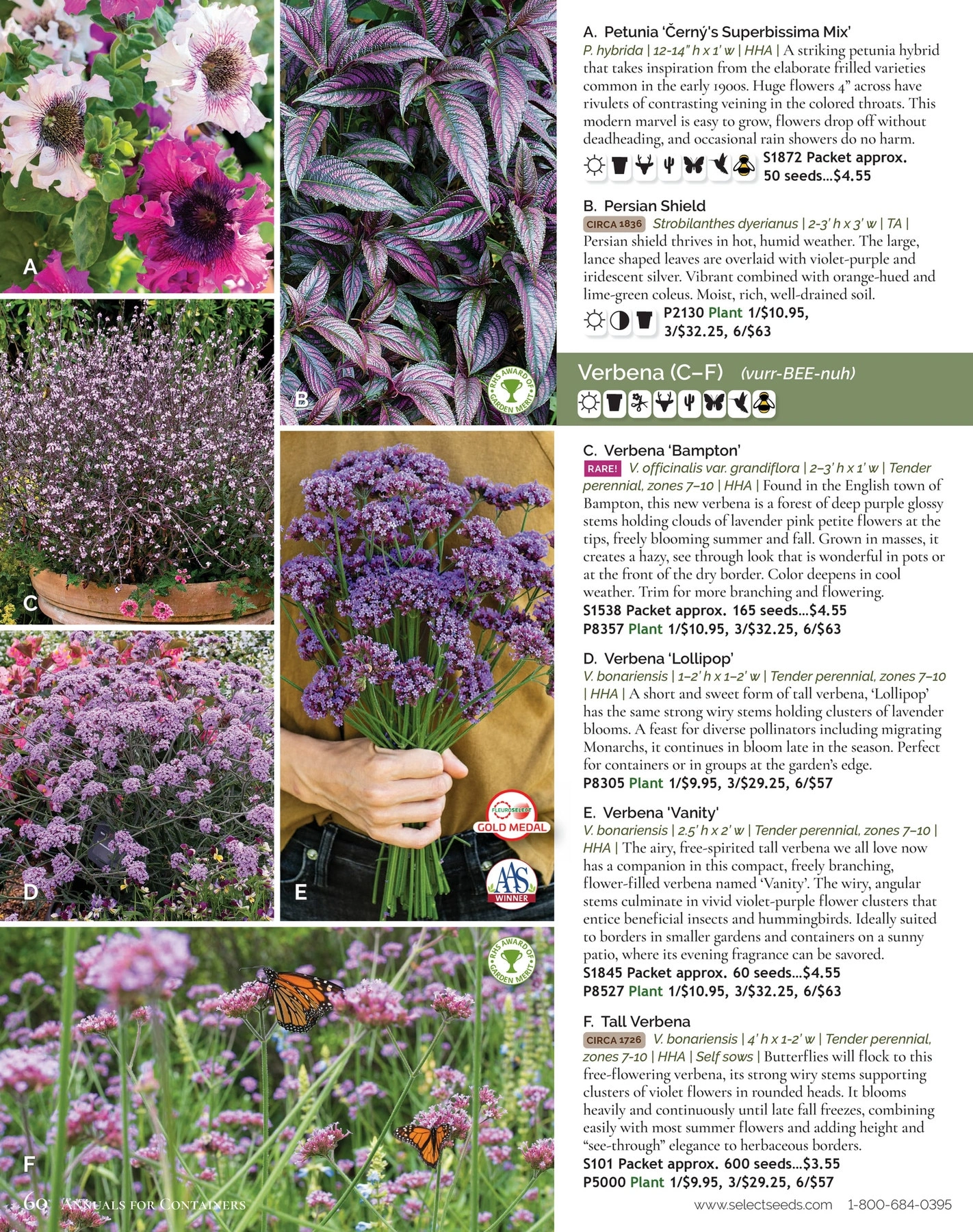 Select Seeds flyer page 60