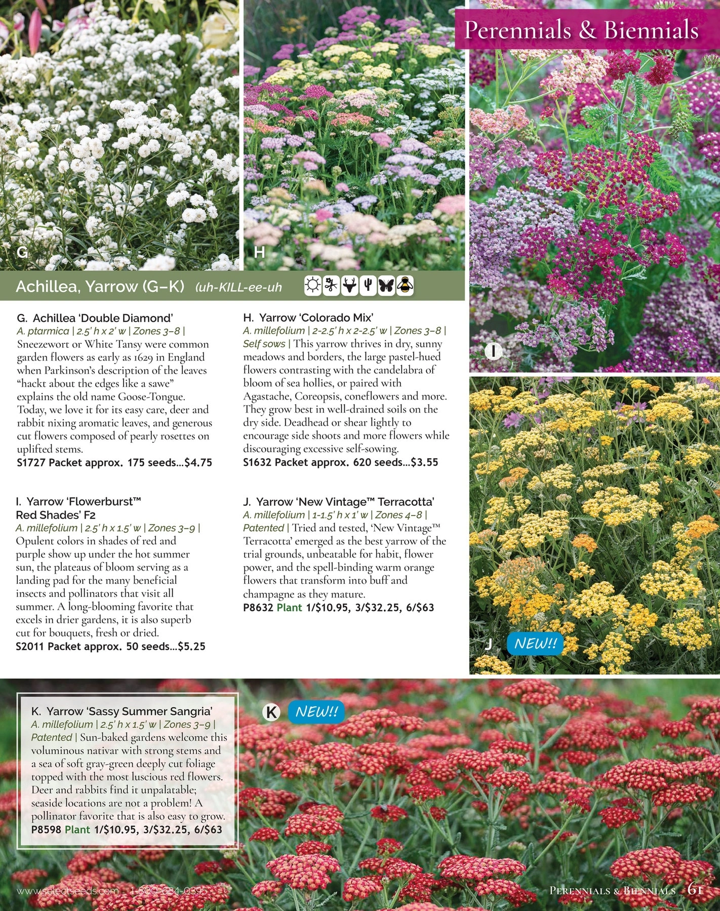 Select Seeds flyer page 61