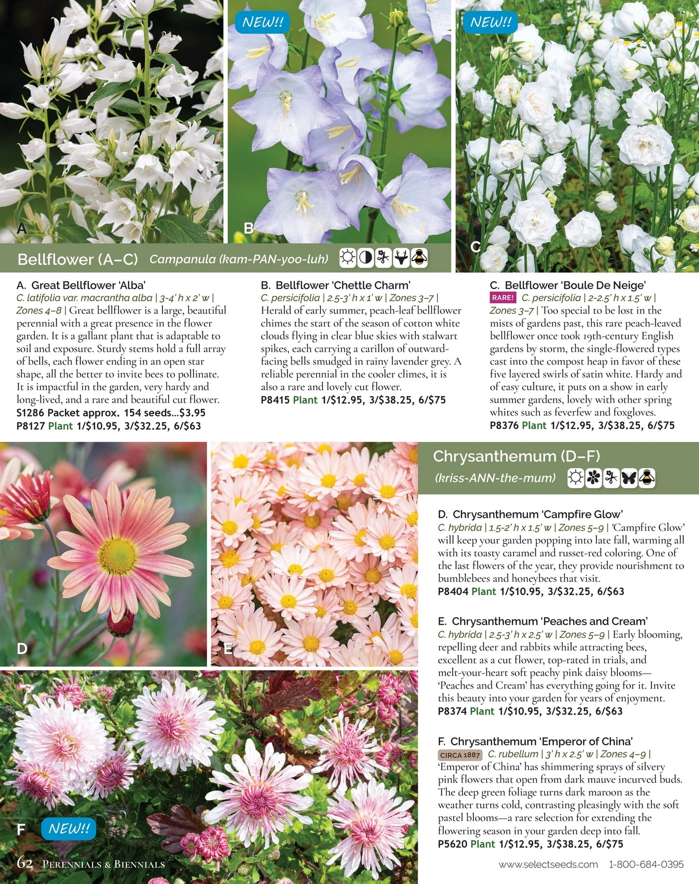 Select Seeds flyer page 62