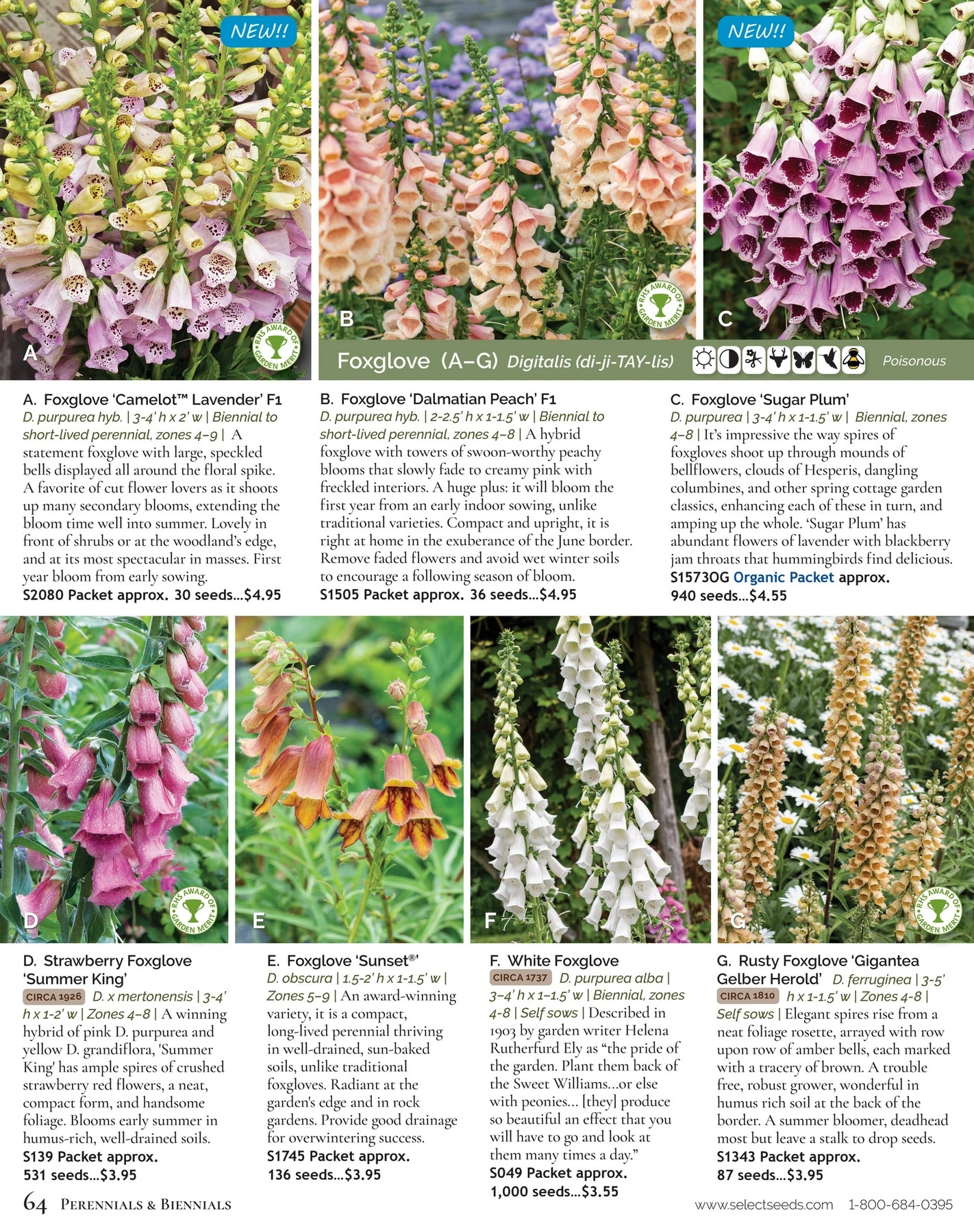 Select Seeds flyer page 64