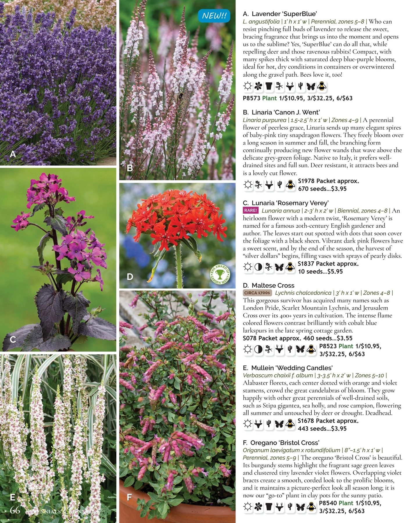 Select Seeds flyer page 66