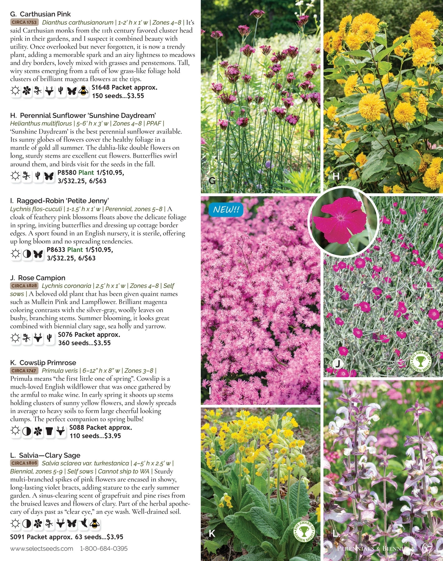 Select Seeds flyer page 67
