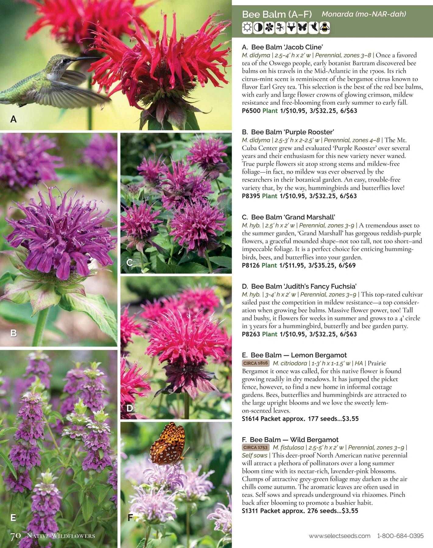 Select Seeds flyer page 70