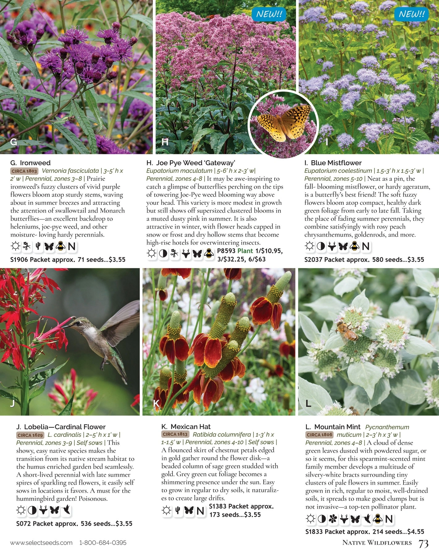 Select Seeds flyer page 73
