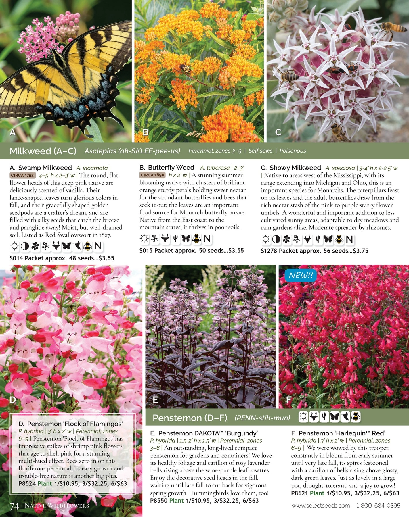 Select Seeds flyer page 74