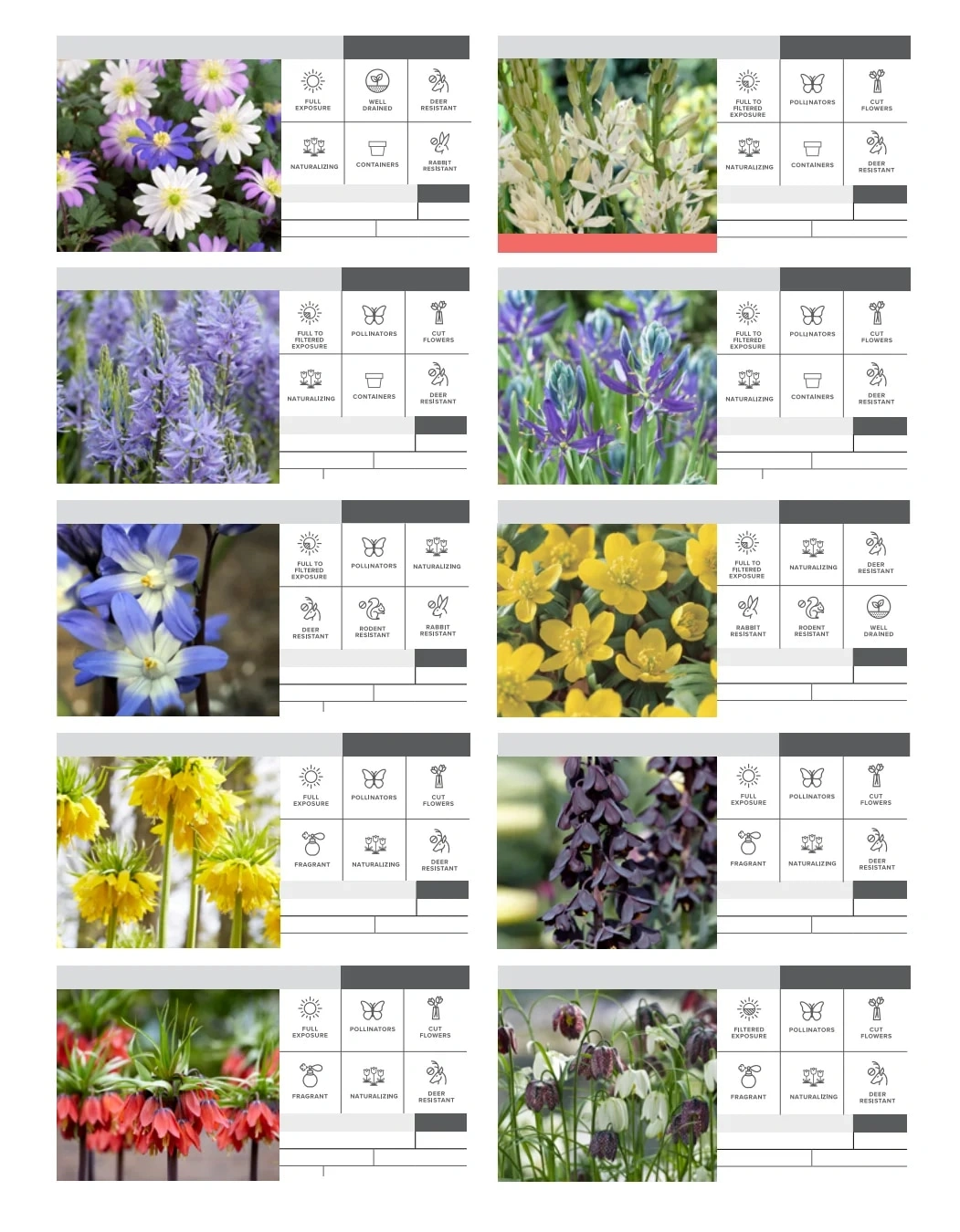 SiteOne Landscape Supply flyer page 22