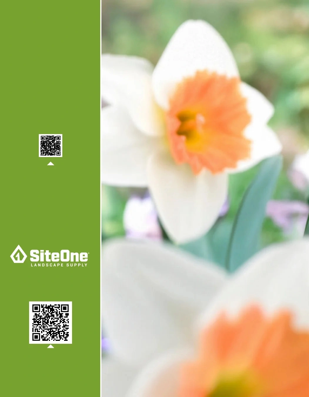 SiteOne Landscape Supply flyer page 24