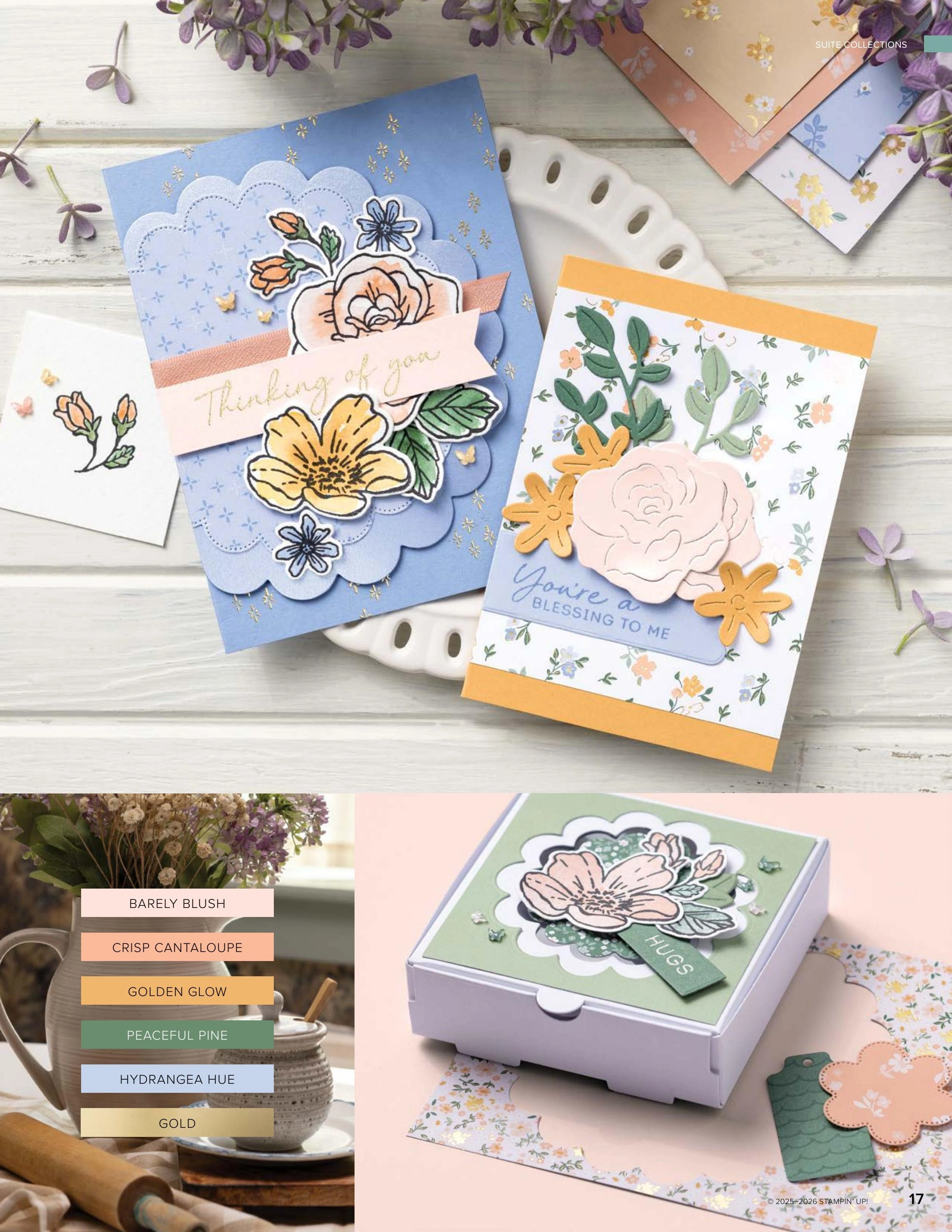 Stampin' Up! flyer page 17