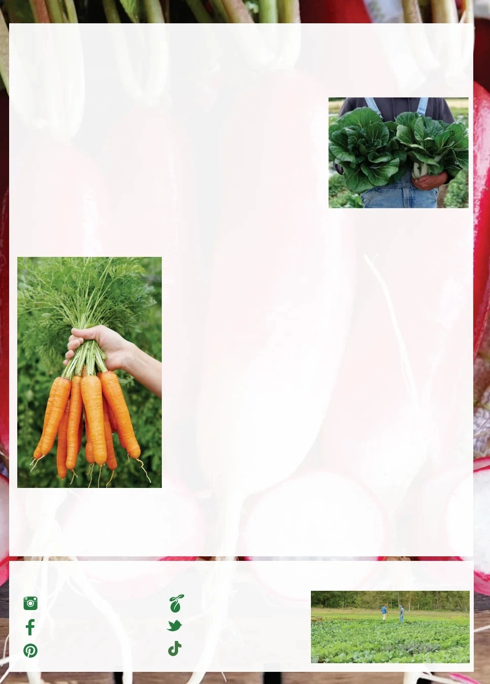 Territorial Seed flyer page 4