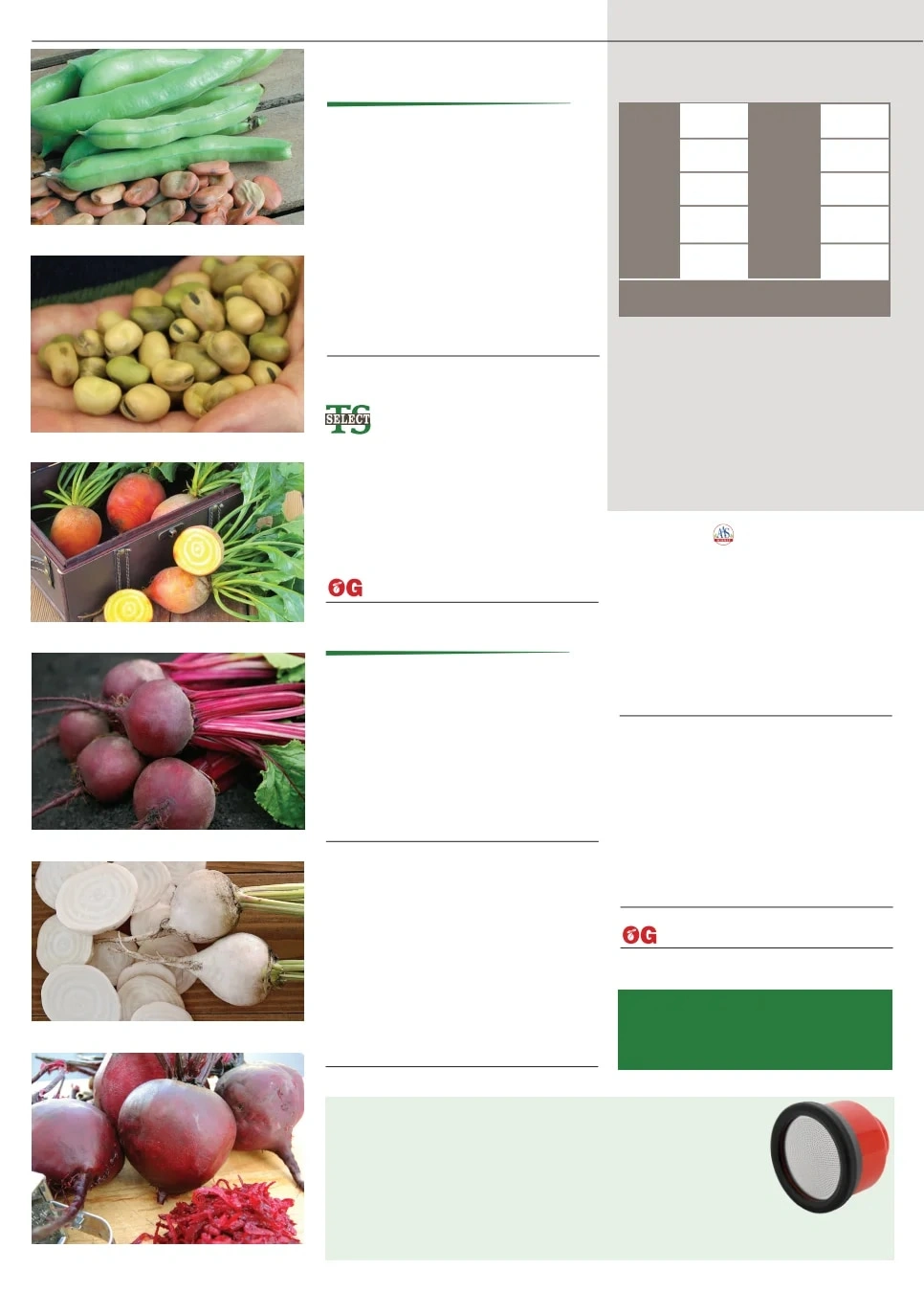 Territorial Seed flyer page 6