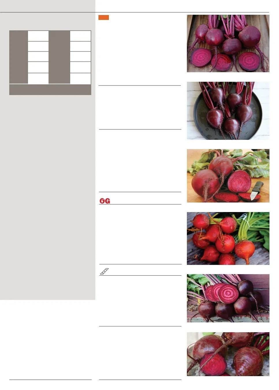 Territorial Seed flyer page 7