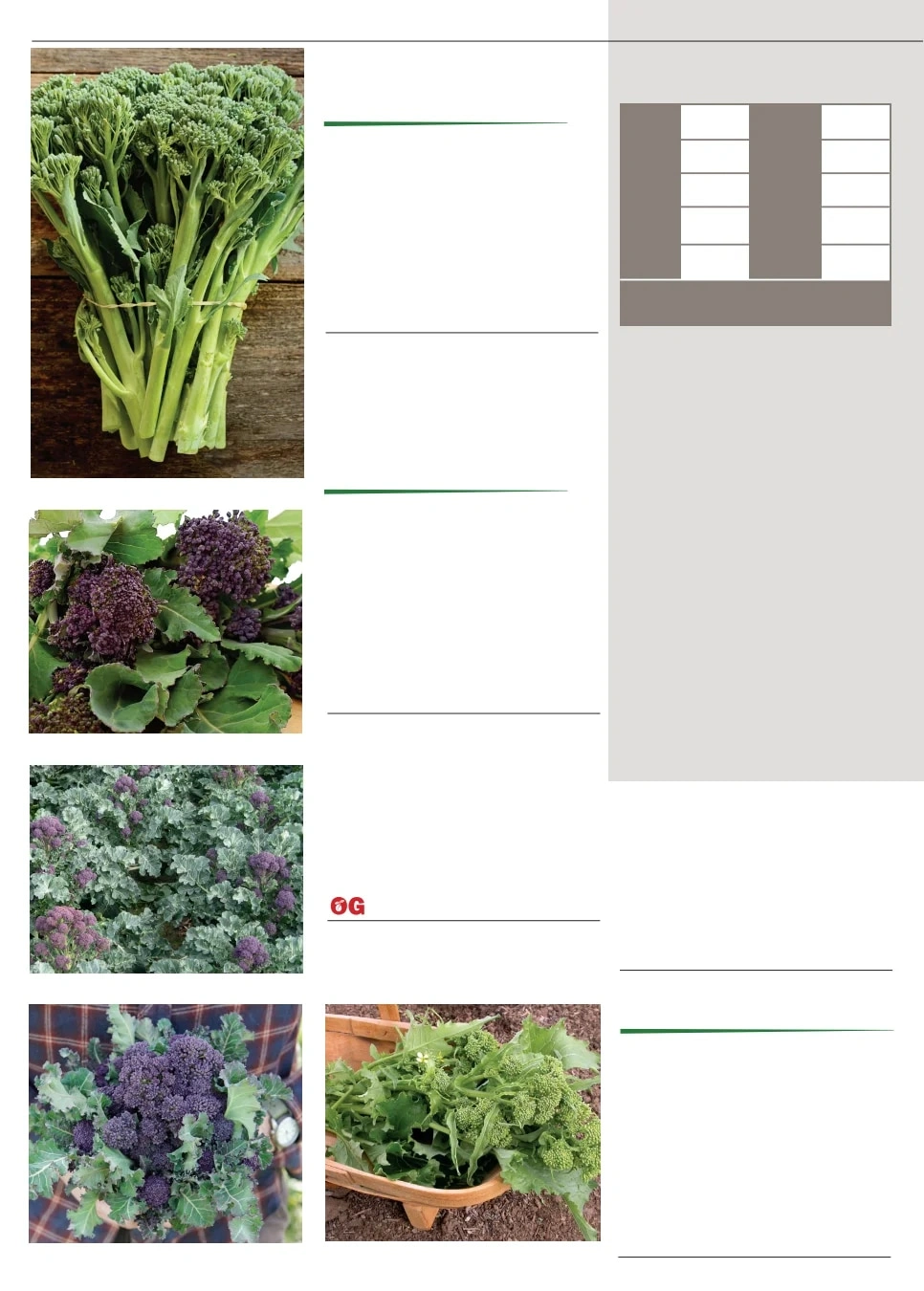 Territorial Seed flyer page 8