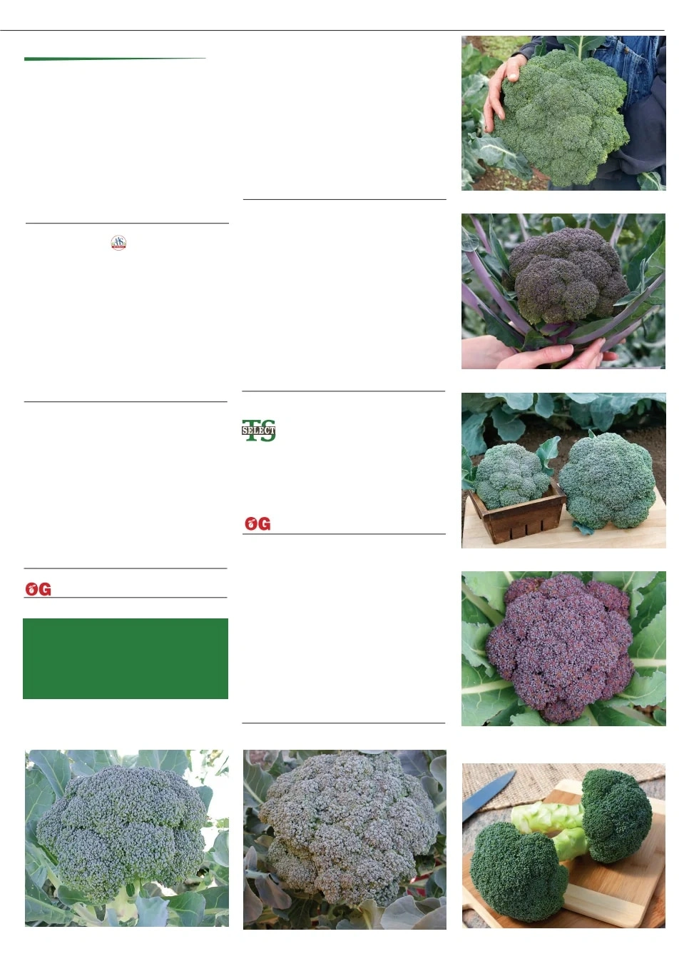 Territorial Seed flyer page 9