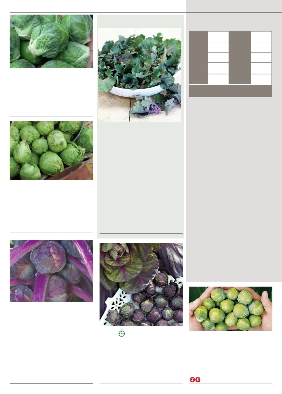 Territorial Seed flyer page 10