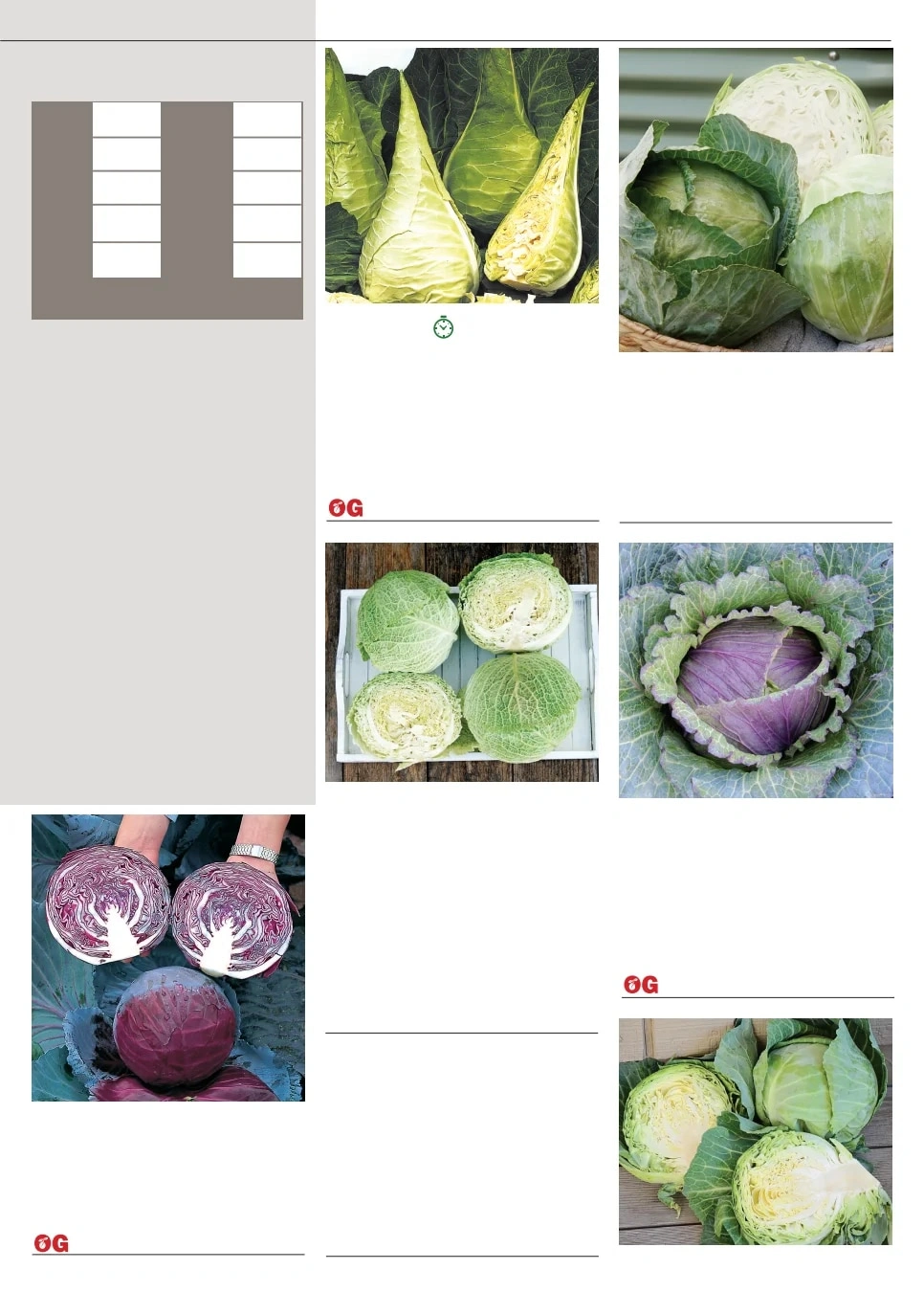 Territorial Seed flyer page 11