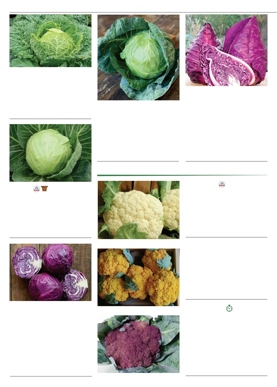 Territorial Seed flyer page 12