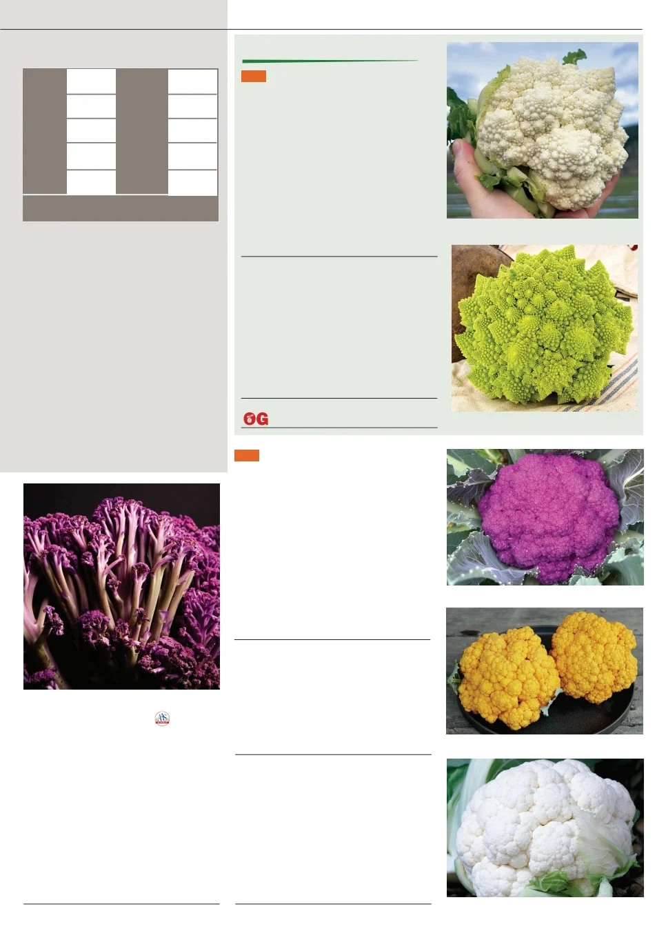 Territorial Seed flyer page 13