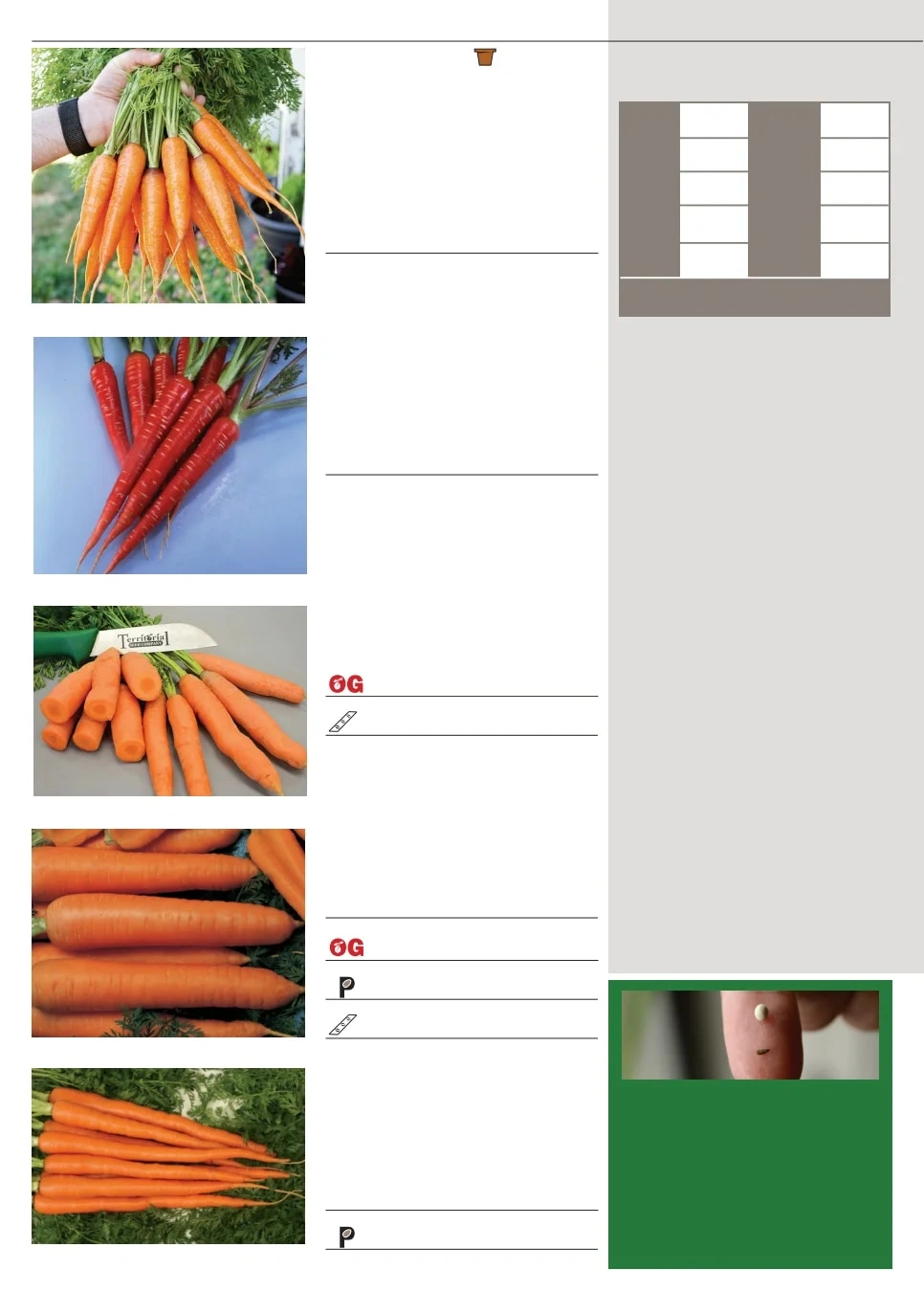 Territorial Seed flyer page 14