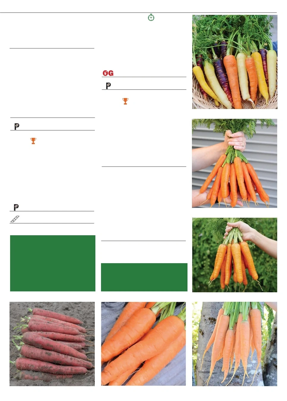 Territorial Seed flyer page 15