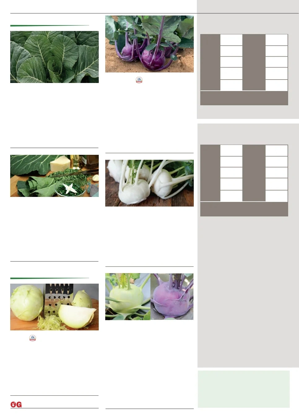 Territorial Seed flyer page 16